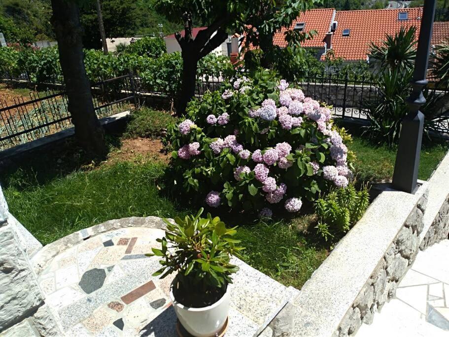 Apartment Mediterranean Garden Риека Экстерьер фото