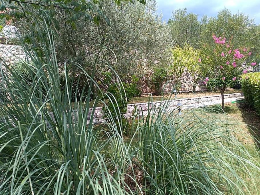 Apartment Mediterranean Garden Риека Экстерьер фото